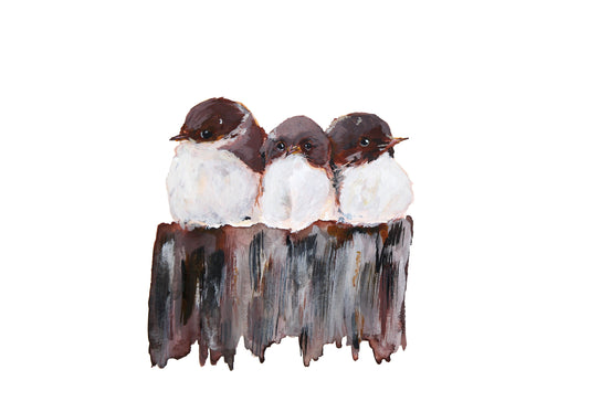 Gift Cards 5 Pack Assorted - Birds II