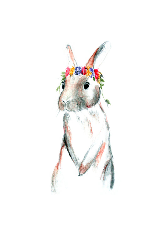 Poster Print - Bunny Rabbit